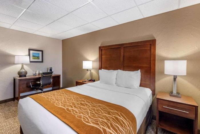 Comfort Inn Butte City Center I-15 - I-90 Kamer foto